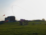 Eddybogen_Schillig_009