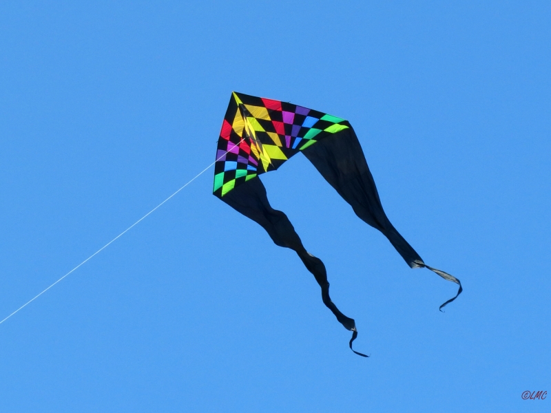 Jumbo Delta Rainbow