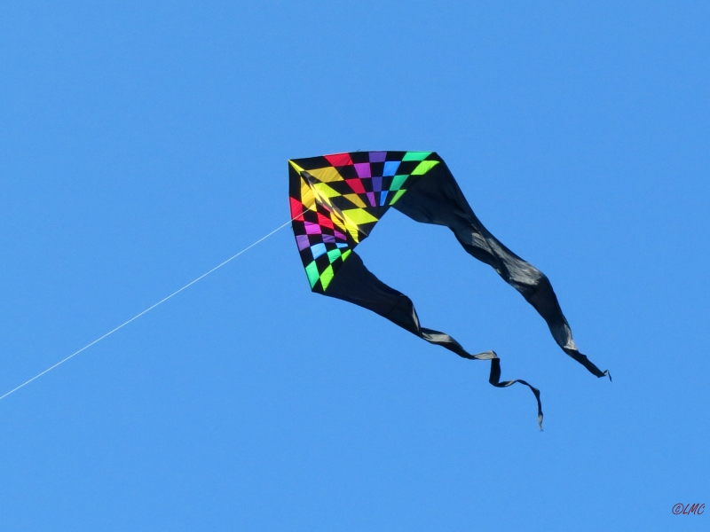 Jumbo Delta Rainbow