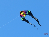 Jumbo Delta Rainbow