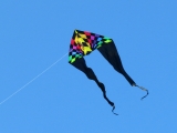 Jumbo Delta Rainbow