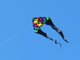 Jumbo Delta Rainbow