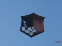 Rokkaku Artlenburg