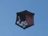 Rokkaku Artlenburg