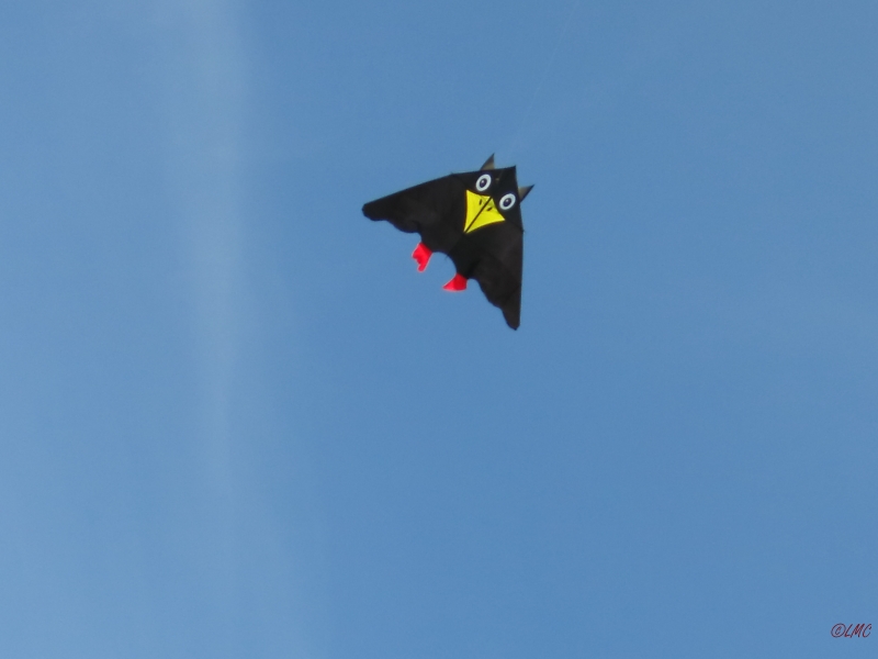 Rudi_Rabe_XXL_001