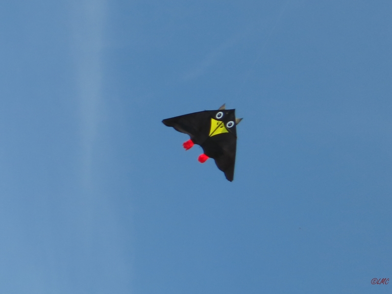 Rudi_Rabe_XXL_002