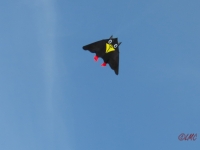 Rudi_Rabe_XXL_001