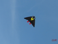Rudi_Rabe_XXL_002