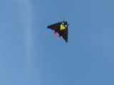 Rudi_Rabe_XXL_001