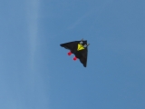 Rudi_Rabe_XXL_002