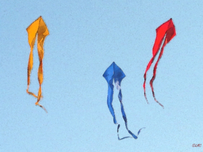 Schleierdelta_009