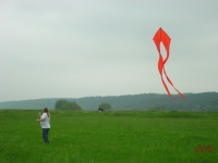 Schleierdelta_005