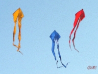 Schleierdelta_009
