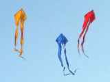 Schleierdelta_009