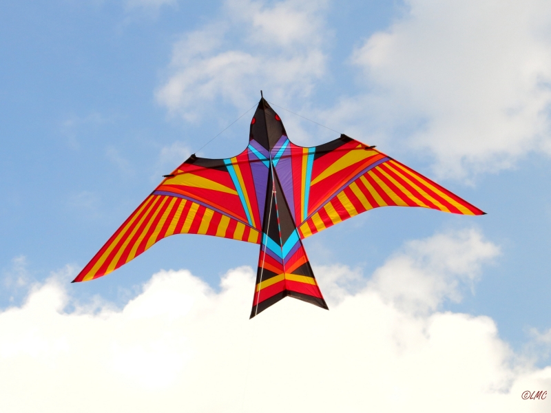 Skybird