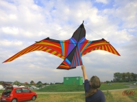 Skybird