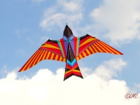 Skybird