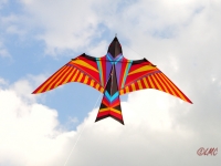 Skybird