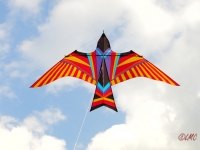 Skybird