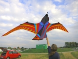 Skybird