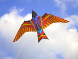 Skybird