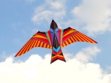 Skybird