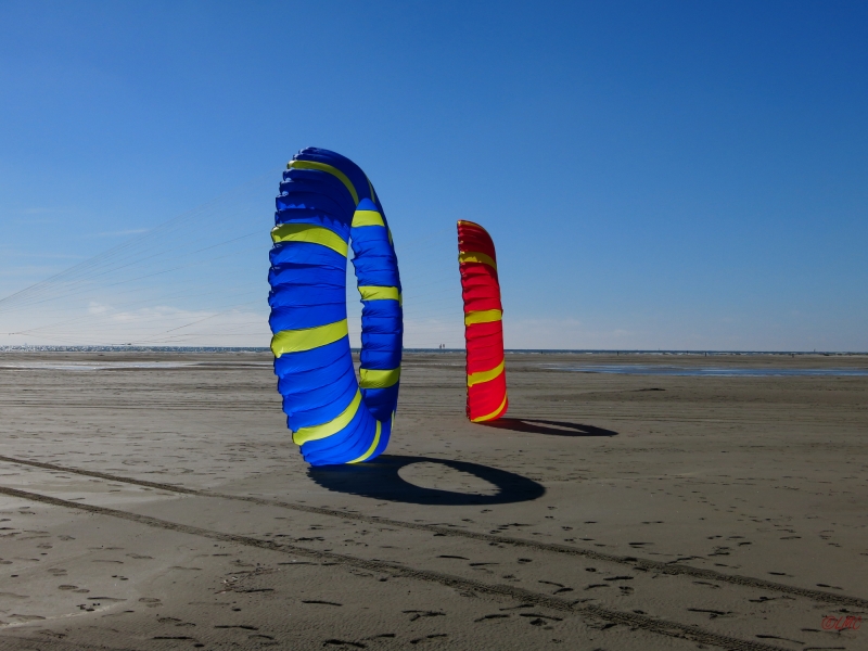 Bols Fanø 2016