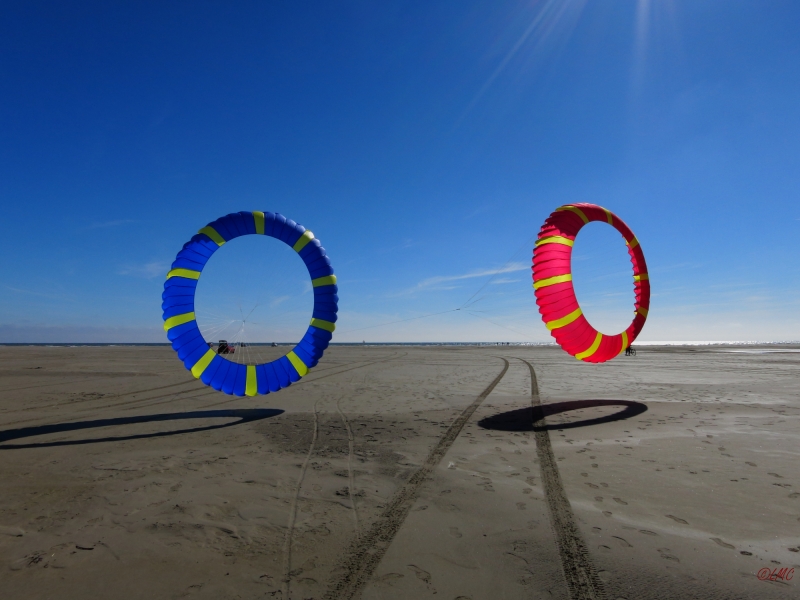 Bols Fanø 2016