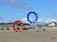 Bols Fanø 2016
