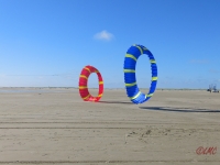 Bols Fanø 2016