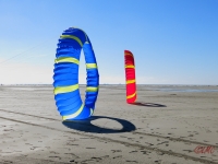 Bols Fanø 2016