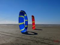 Bols Fanø 2016