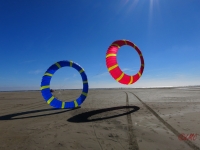 Bols Fanø 2016