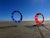 Bols Fanø 2016