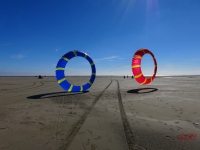 Bols Fanø 2016