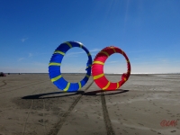 Bols Fanø 2016