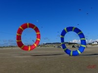 Bols Fanø 2016