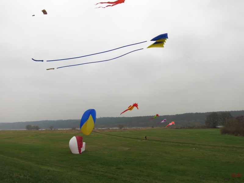 Artlenburg_2014_11_29_004