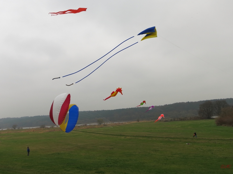 Artlenburg_2014_11_29_008