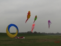 Artlenburg_2014_11_29_001