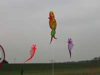 Artlenburg_2014_11_29_002