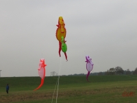 Artlenburg_2014_11_29_003