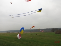 Artlenburg_2014_11_29_004