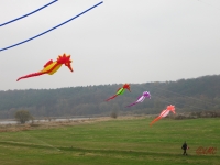 Artlenburg_2014_11_29_005