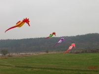 Artlenburg_2014_11_29_006