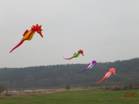 Artlenburg_2014_11_29_007