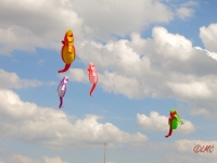 Seepferdchen Artlenburg