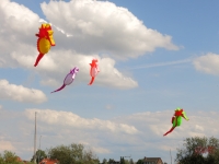Seepferdchen Artlenburg