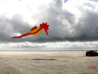 seepferdchen_fanoe_006