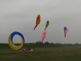 Artlenburg_2014_11_29_001